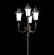 14906070