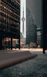 07