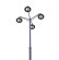 55516596